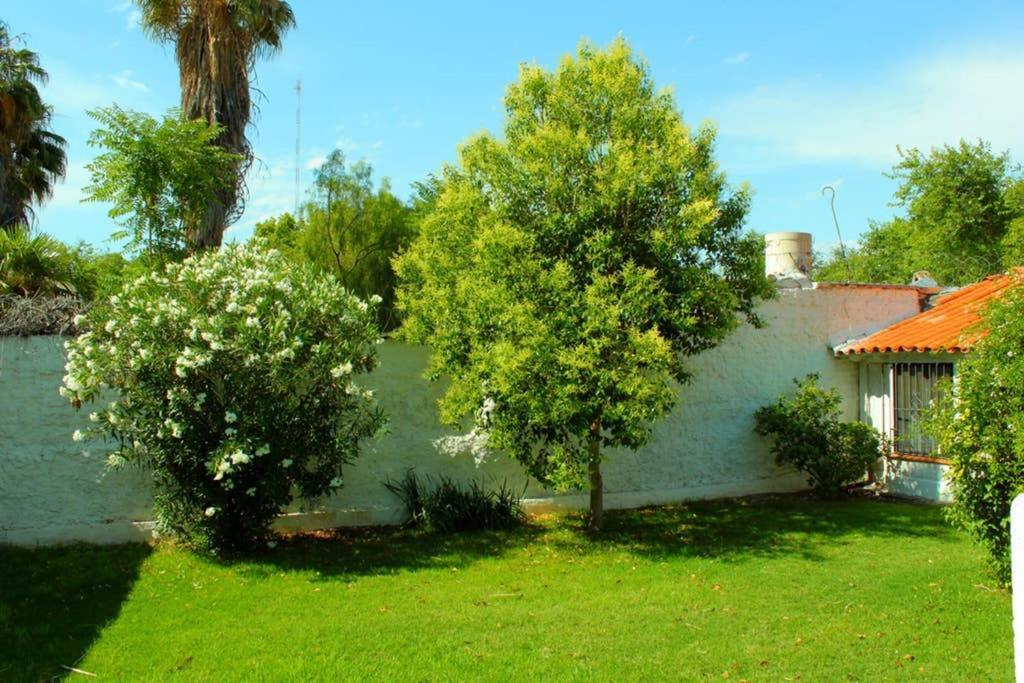 Big Beautiful House With Garden In 5Ta Seccion Neighbourhood Villa Мендоса Екстериор снимка